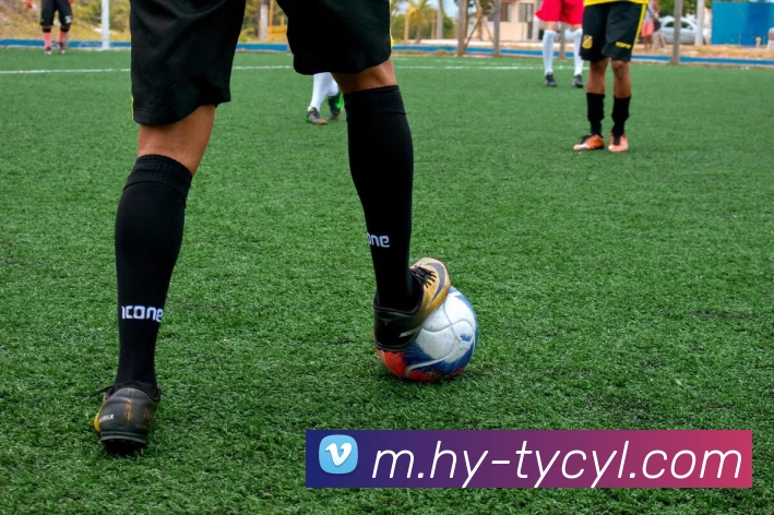 澳门太阳城发展历程